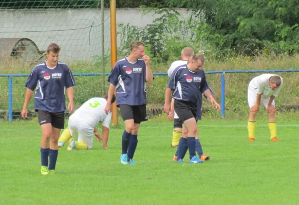 20.08.2017 Dessauer SV 97 III vs. SG Dobritz/Garitz II