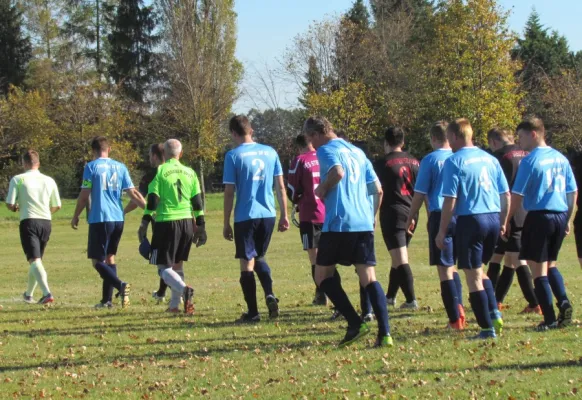 15.10.2017 FSG Steutz/Leps II vs. Dessauer SV 97 III