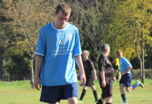 15.10.2017 FSG Steutz/Leps II vs. Dessauer SV 97 III