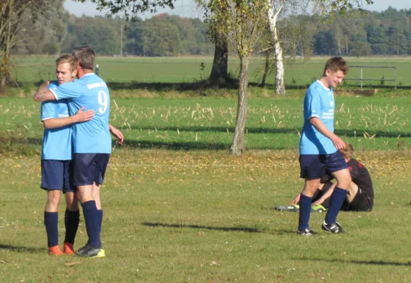 15.10.2017 FSG Steutz/Leps II vs. Dessauer SV 97 III