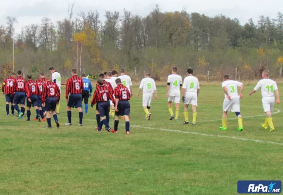 12.11.2017 SG Dobritz/Garitz II vs. Dessauer SV 97 III