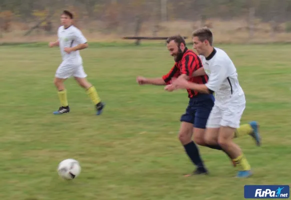 12.11.2017 SG Dobritz/Garitz II vs. Dessauer SV 97 III