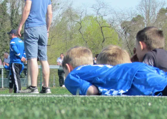 15.04.2018 Dessauer SV 97 vs. SG Blau-Weiß Dessau