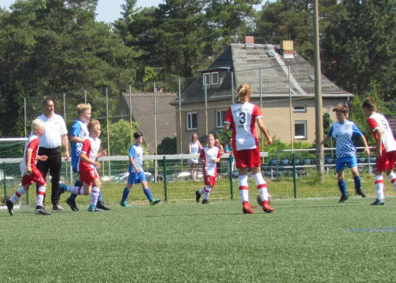 26.05.2018 Dessauer SV 97 vs. TSV Rot-Weiß Zerbst