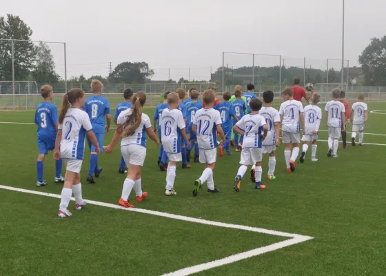 02.06.2018 Germania Roßlau vs. Dessauer SV 97