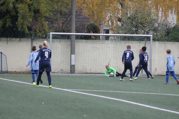 03.11.2018 Dessauer SV 97 vs. SG Blau-Weiß Dessau
