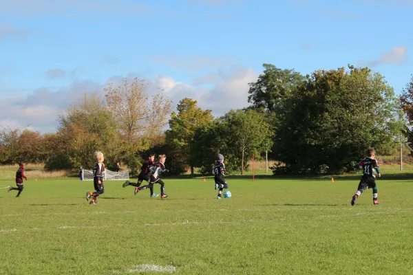11.10.2020 SG Abus Dessau (F) vs. Dessauer SV 97