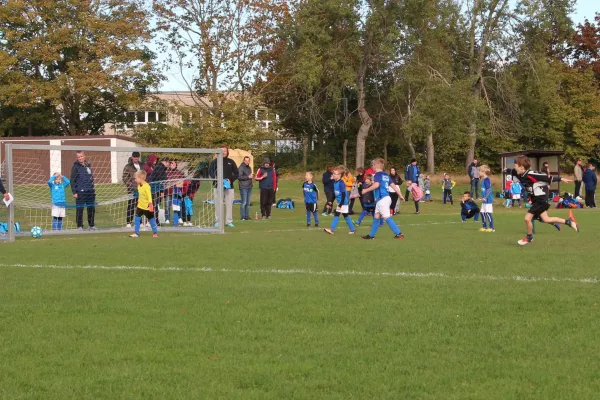 11.10.2020 Dessauer SV 97 vs. SG Blau-Weiß Dessau (F)