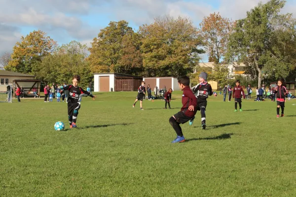 11.10.2020 Dessauer SV 97 vs. SG Abus Dessau (F)