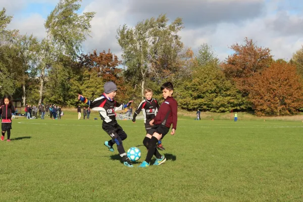 11.10.2020 Dessauer SV 97 vs. SG Abus Dessau (F)