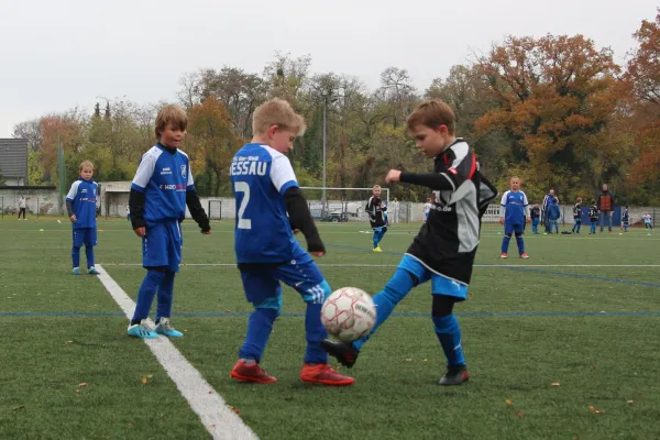 07.11.2021 Dessauer SV 97 II vs. SG Blau-Weiß Dessau II