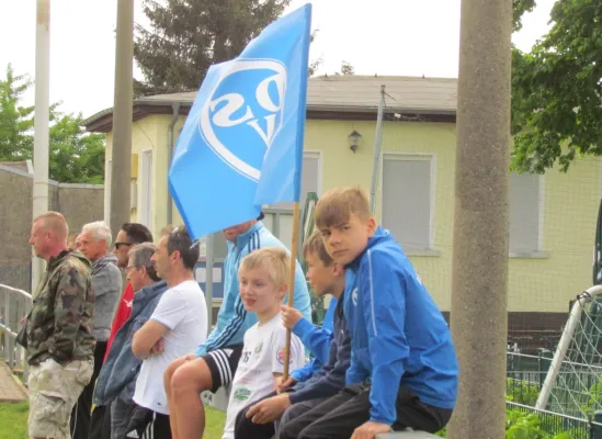21.05.2022 Dessauer SV 97 vs. TSV Rot-Weiß Zerbst
