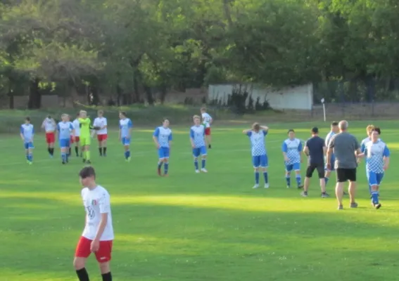 11.05.2022 Dessauer SV 97 vs. SV Blau-Rot Coswig
