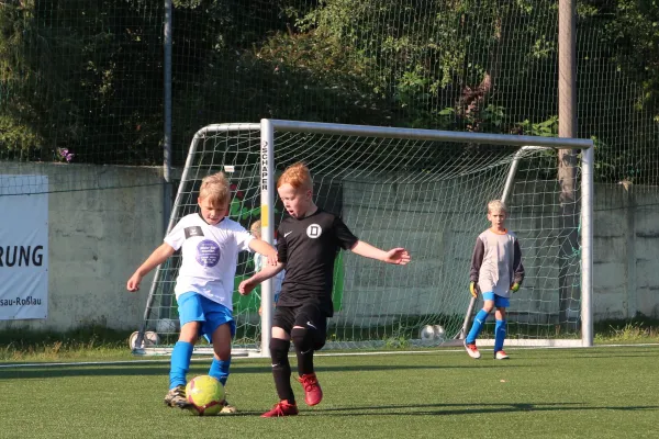 04.09.2022 Dessauer SV 97 vs. SV Dessau 05