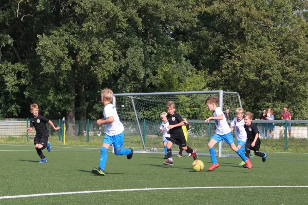 04.09.2022 Dessauer SV 97 vs. SV Dessau 05