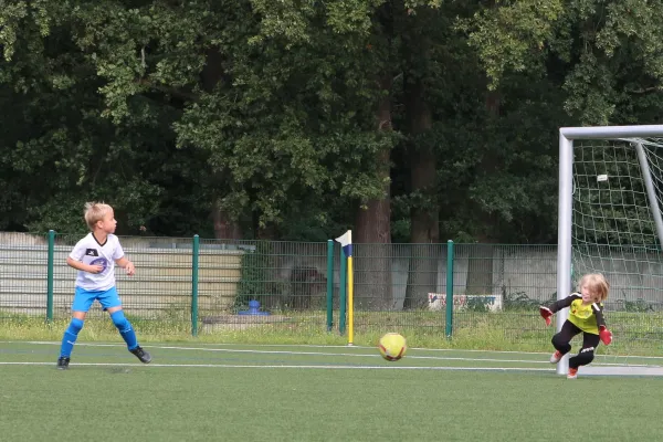 04.09.2022 Dessauer SV 97 vs. SV Dessau 05